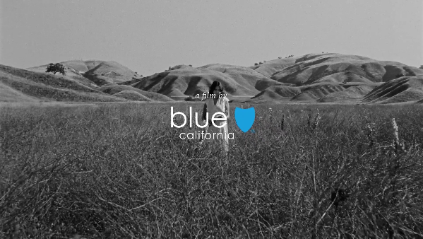 Blue Shield of California "Y-O-U"