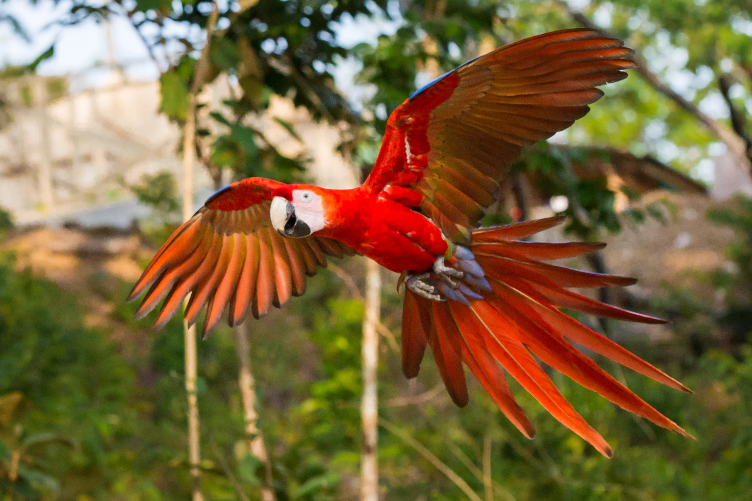 Photo Credit: Matt Terrey