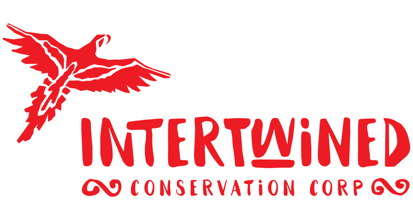 Intertwined Conservation Corporation.png