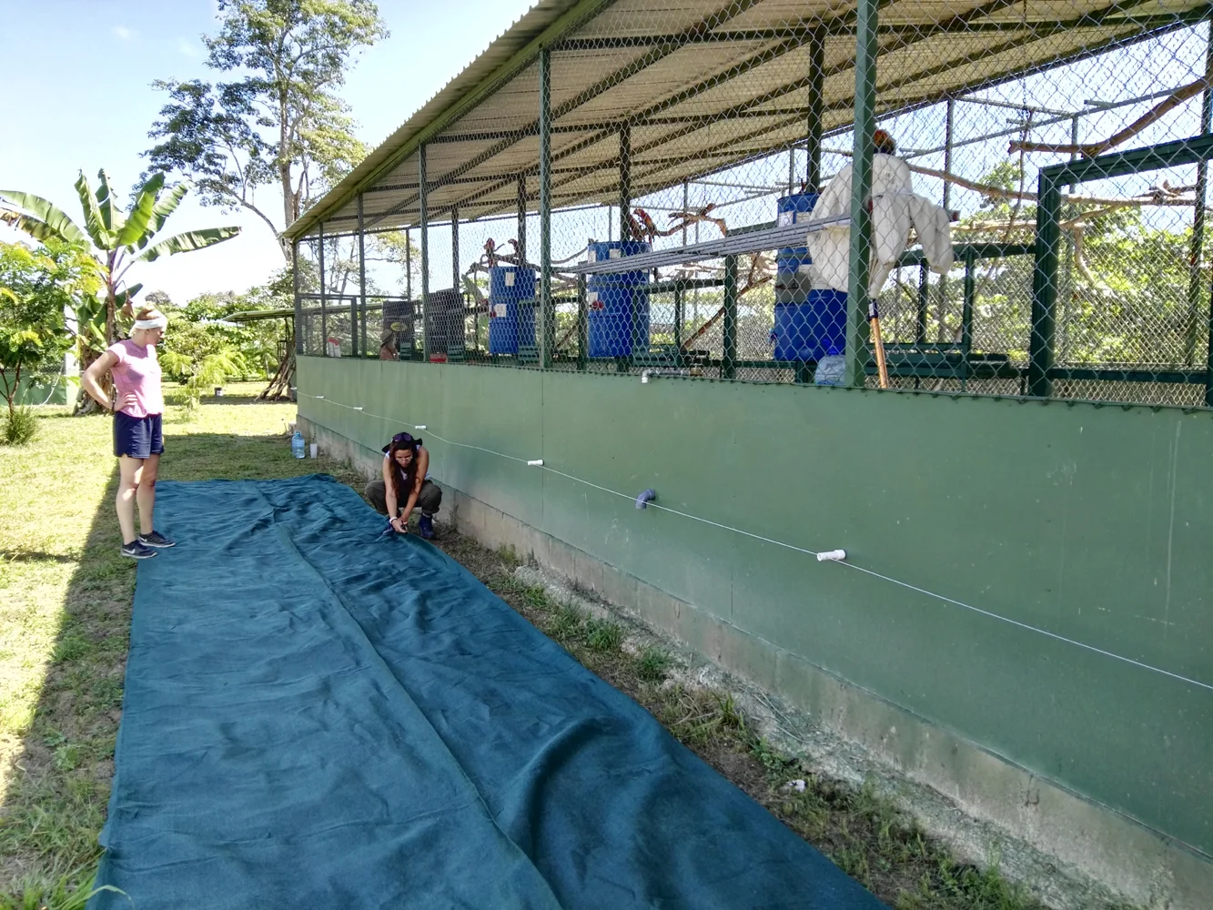 Volunteers helping to build new aviaries