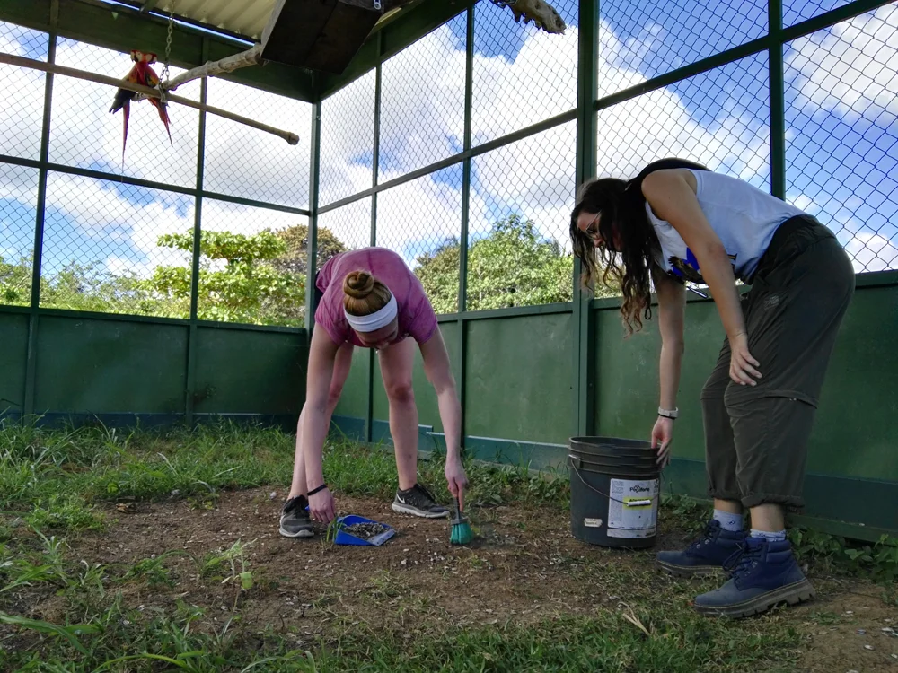 Volunteers helping to clean the aviaries