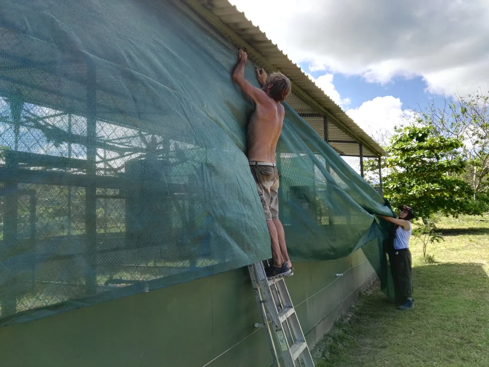 Volunteers helping construction at the center