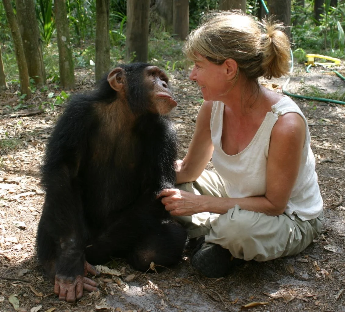 Director Allison Argo on location filming Chimpanzees, An Unatural History.jpg