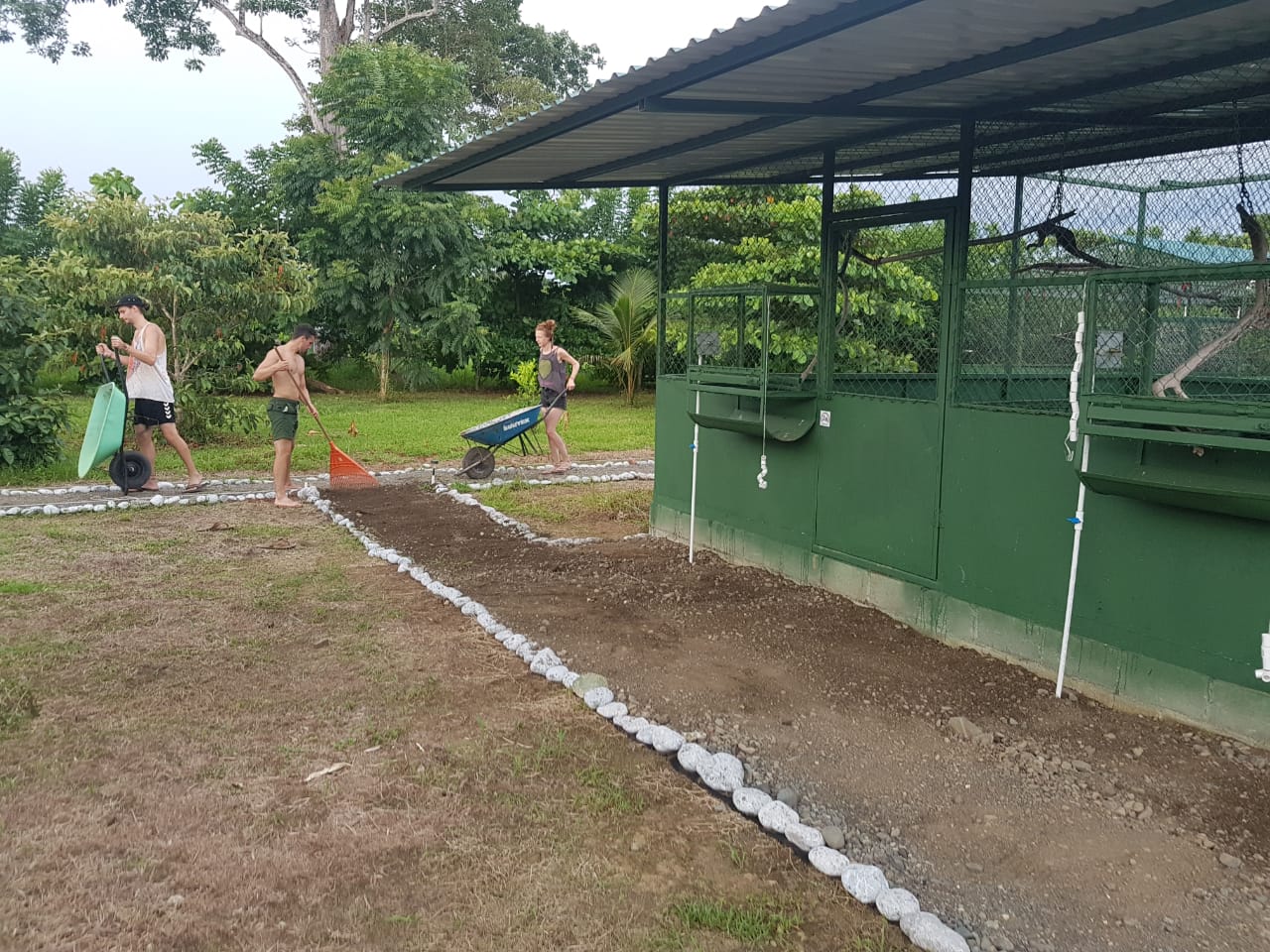 Volunteers help to build paths between the aviaries