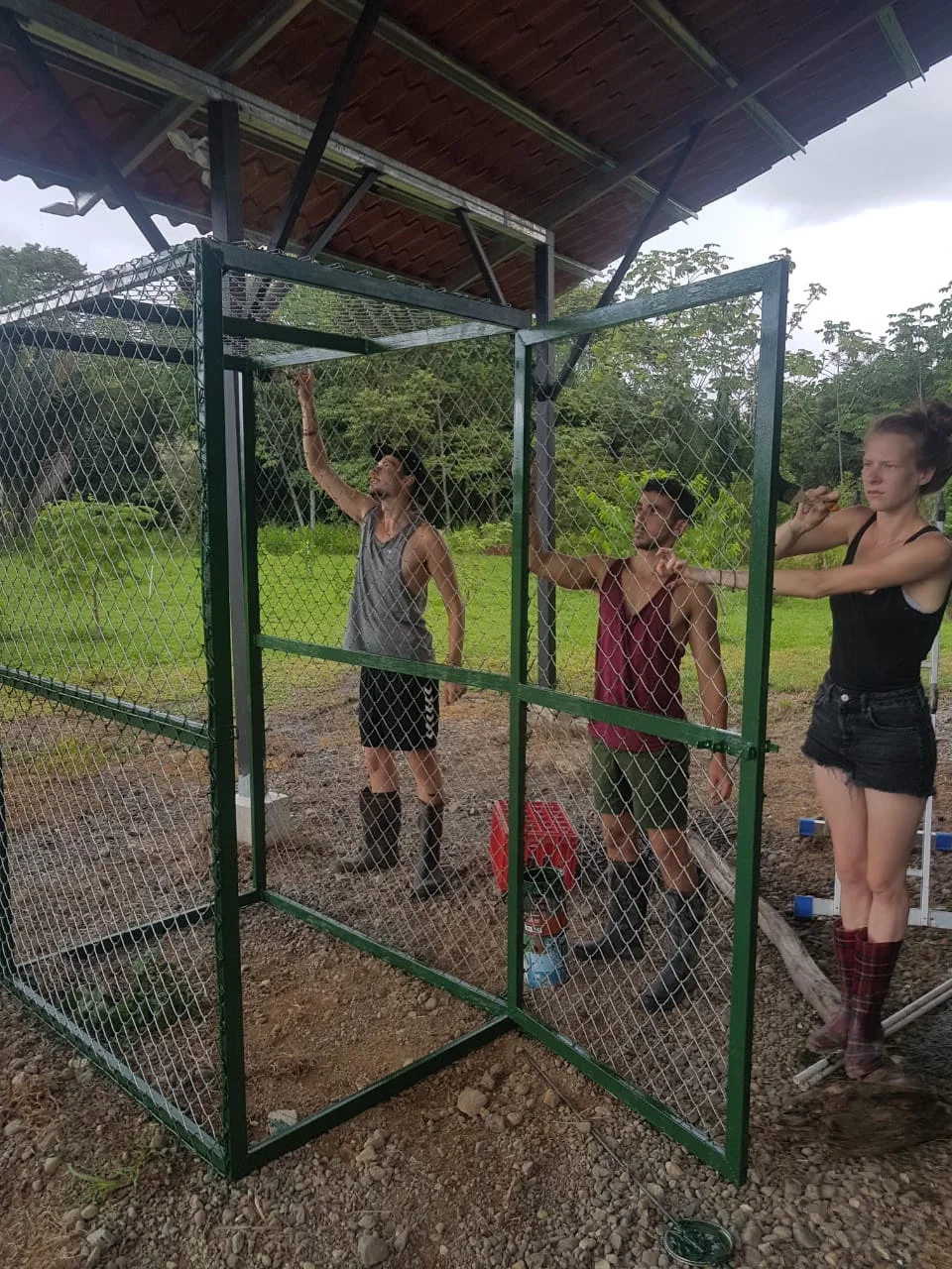 Volunteers painting the new cage
