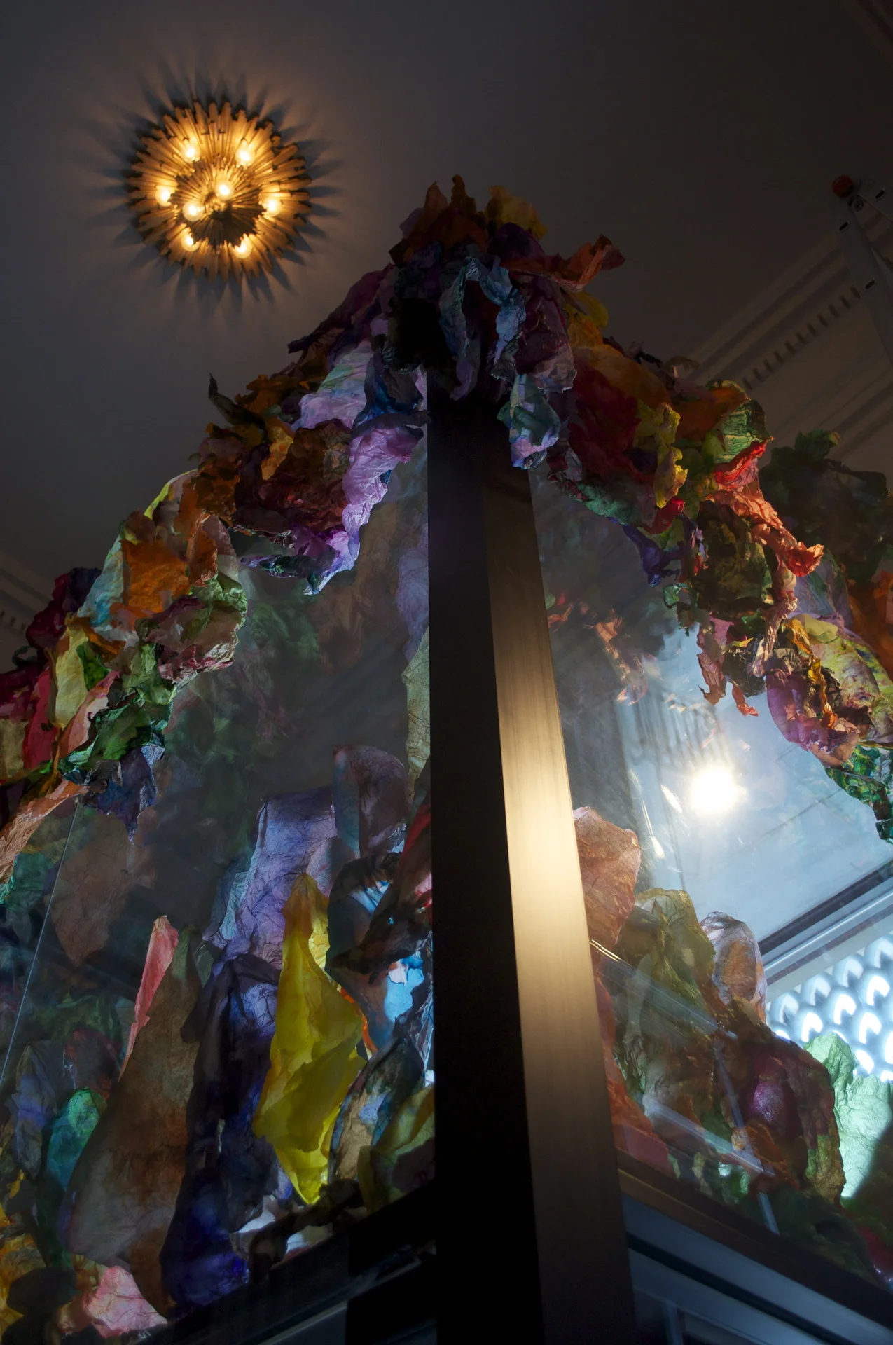 Site specific Installation at the Corcoran Gallery of Art