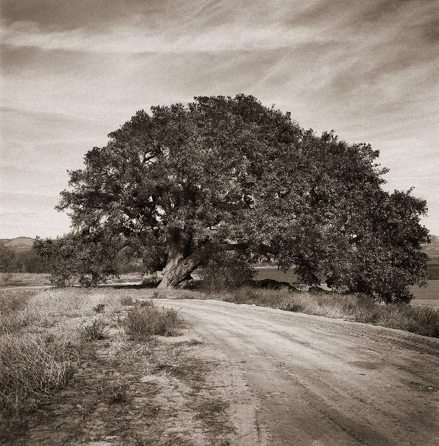 Windendes