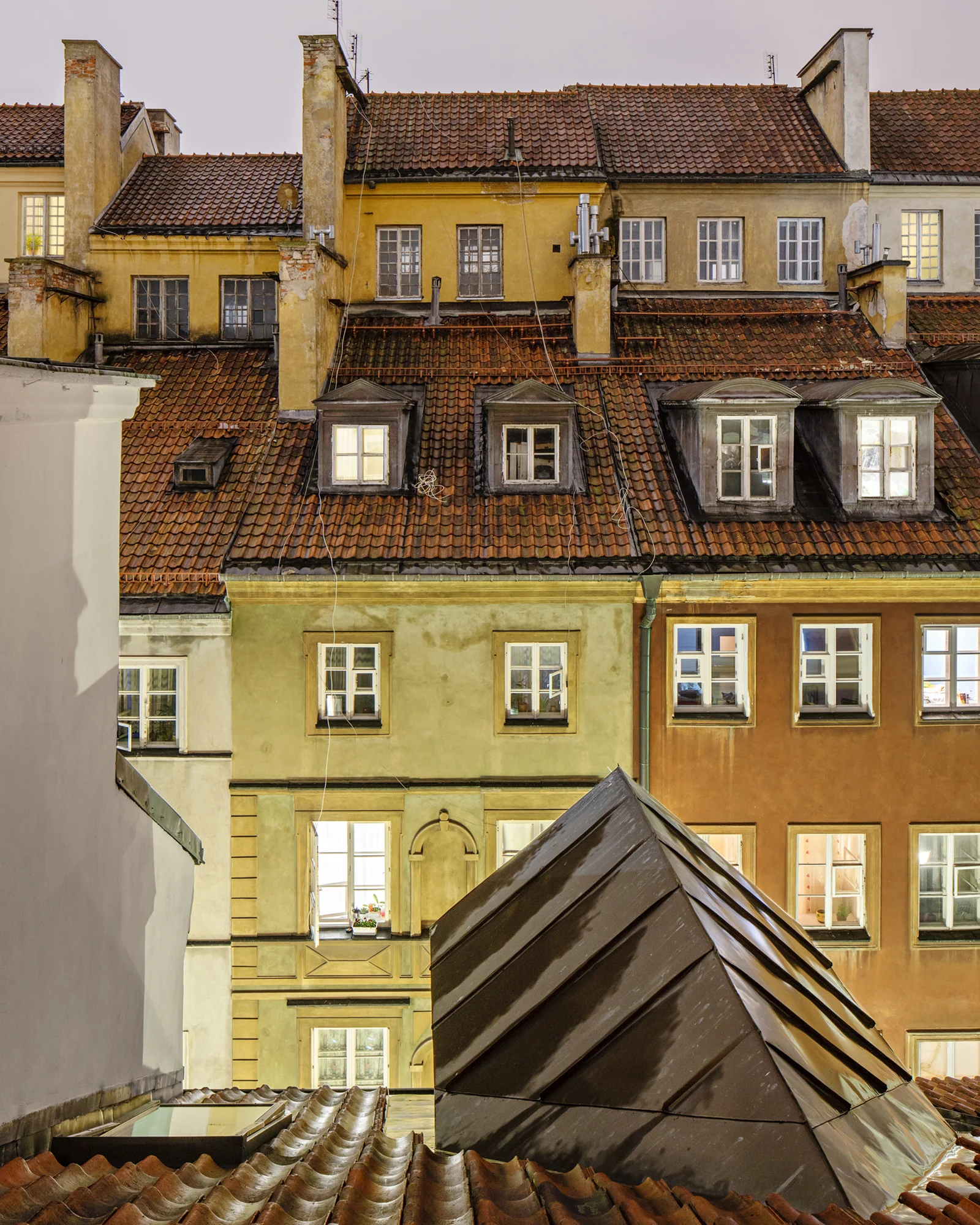 Warshaw #1