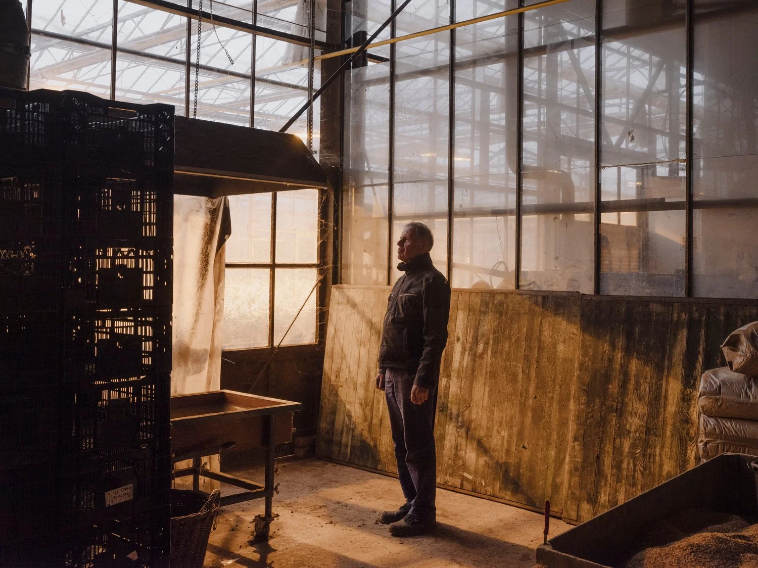  client: self project: greenhouse farmer 