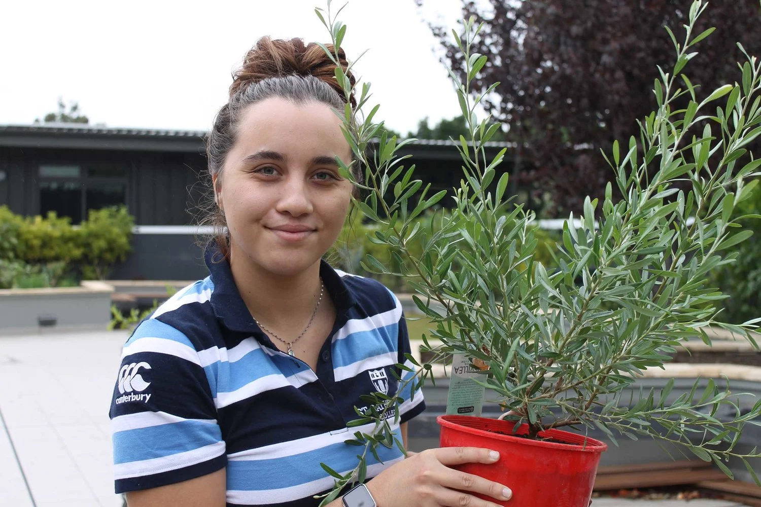 The Making of a Bee Friendly Garden