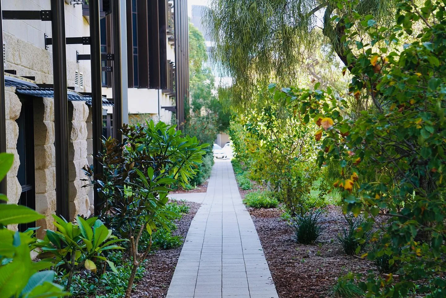 World Environment Day at St Cat's ☀️