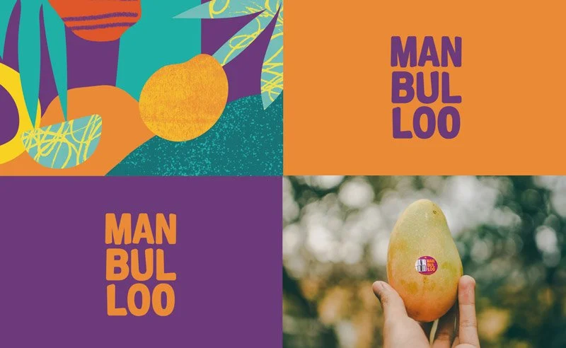 Manbulloo Mango Branding & Packaging design on mango box isolated on blue background