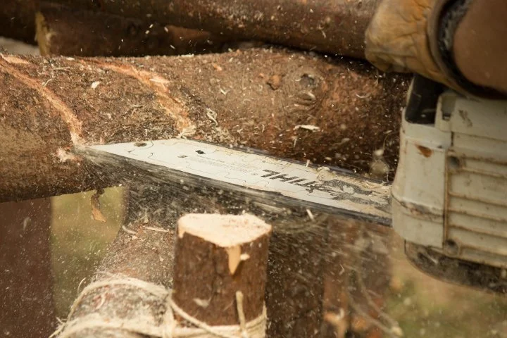 chainsaw wood.jpg