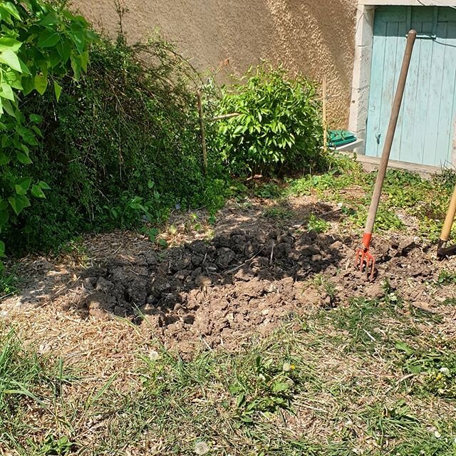 Getting the garden ready, growing from seed...
#tomatoes
#parsleyandotherherbs
#vegandflowers