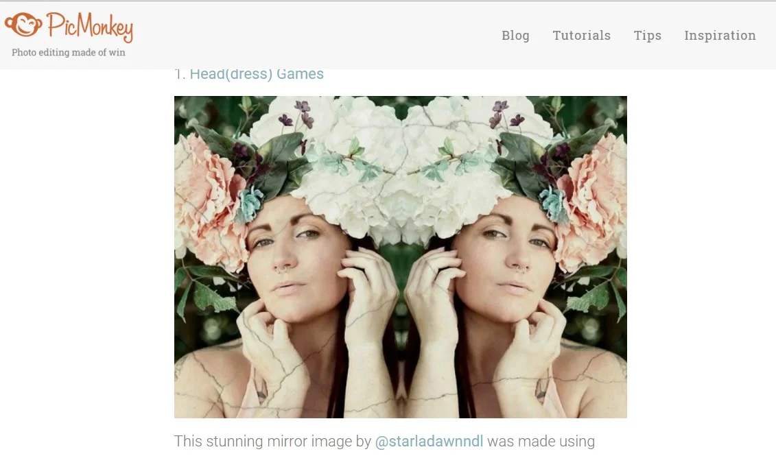 Picmonkey User Faves