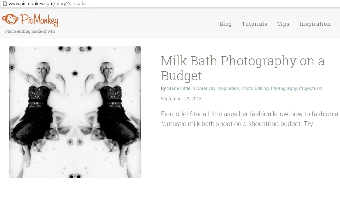 Guest Blogger for Picmonkey