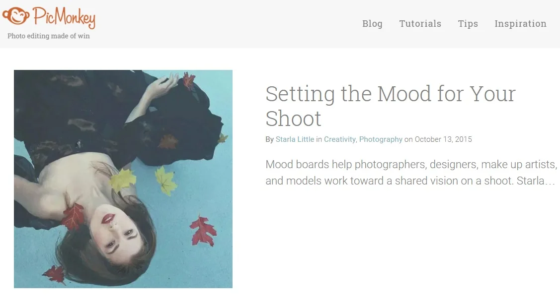 Guest Blogger for Picmonkey II