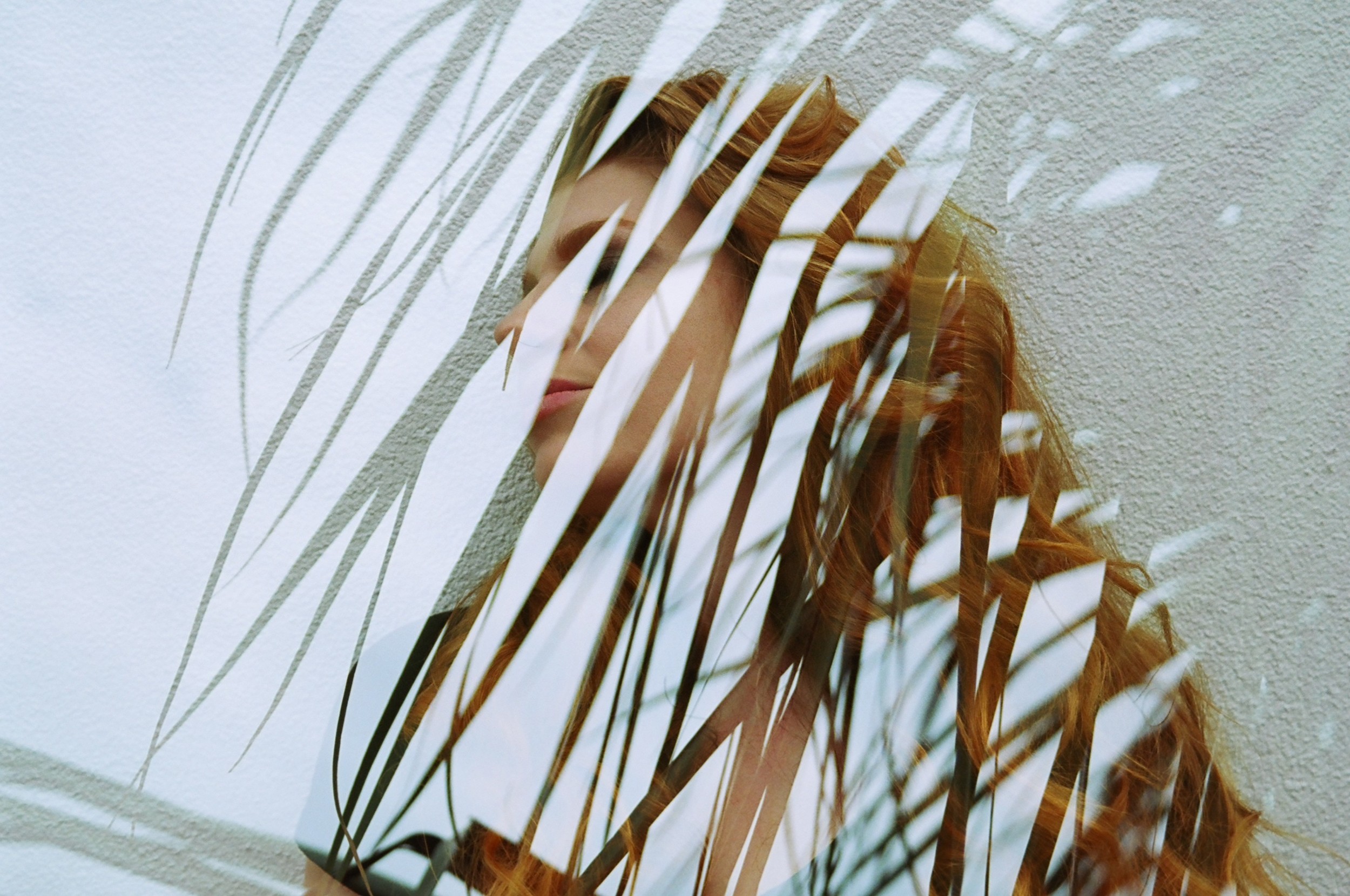 Jacqueline and the Palmetto