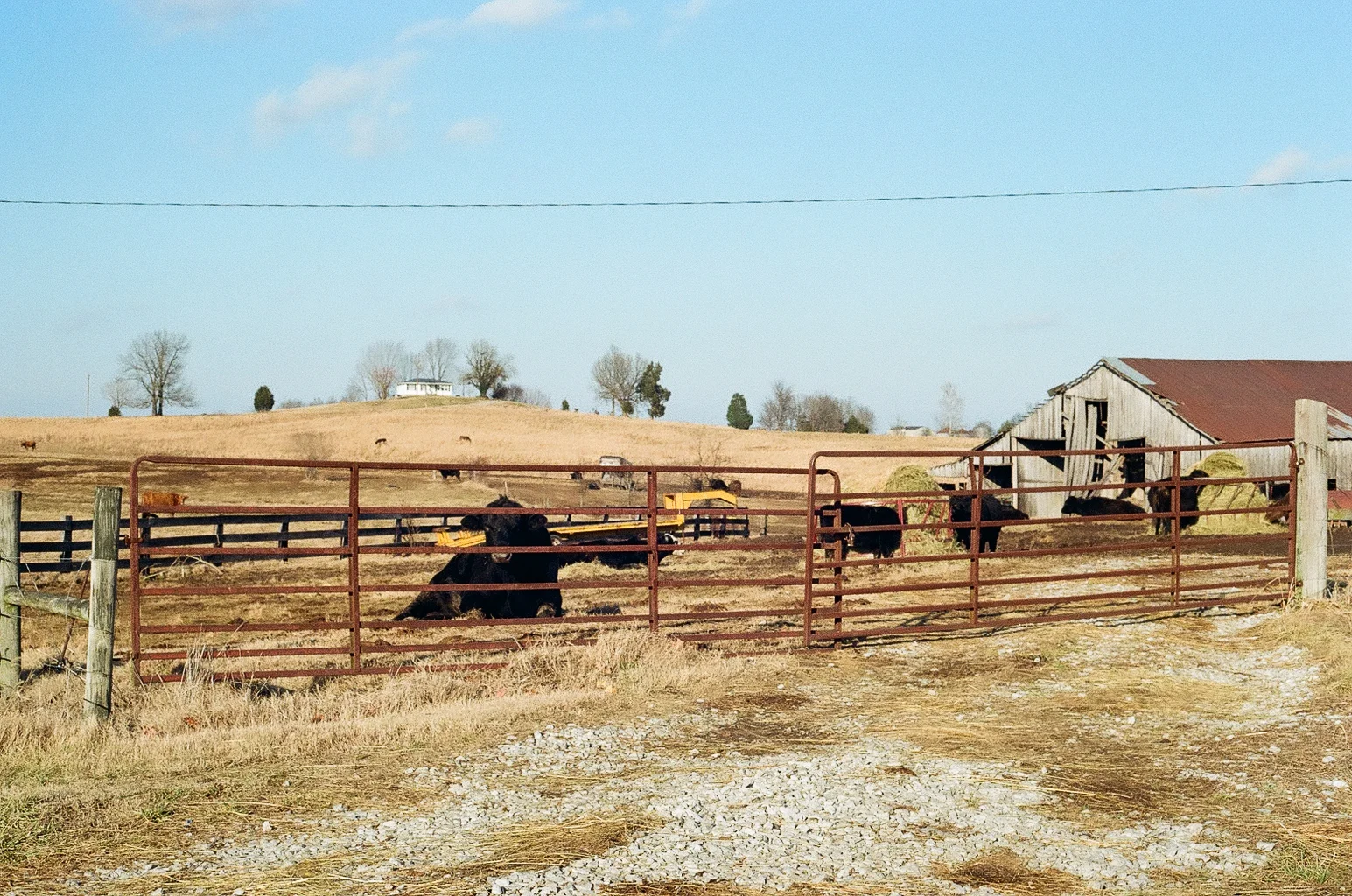 White Plains, KY