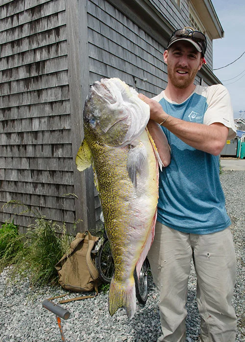 Menemsha Fish House