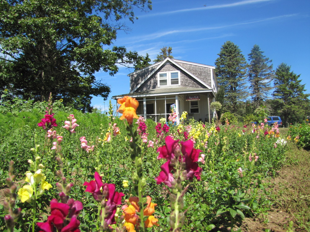 Ghost Island Farm