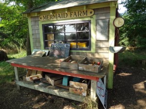 Mermaid Farm and Dairy