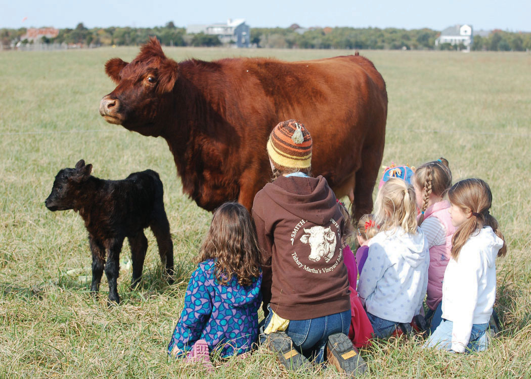 The FARM Institute