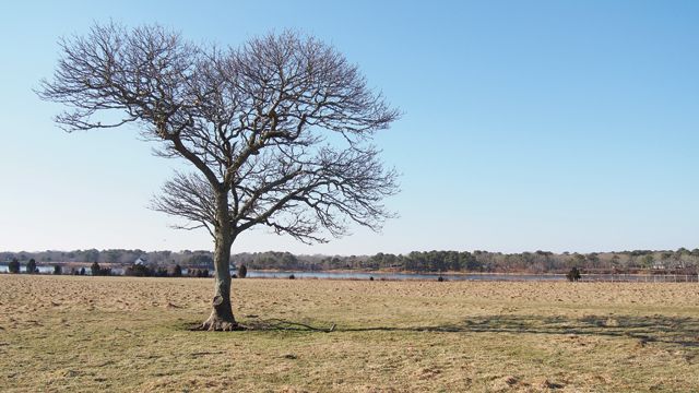 Flat Point Farm