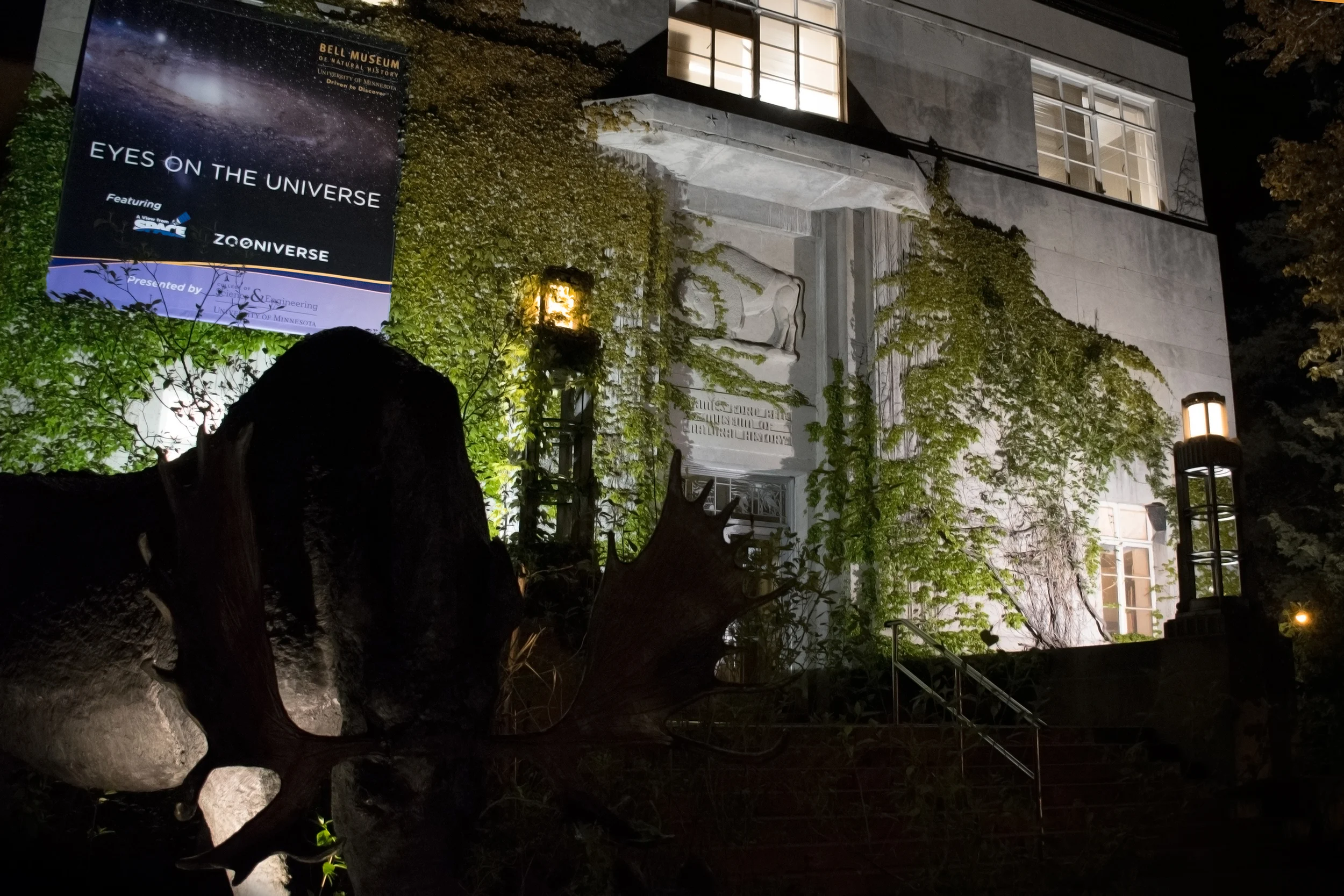 Bell Social: Curious Creatures After Dark