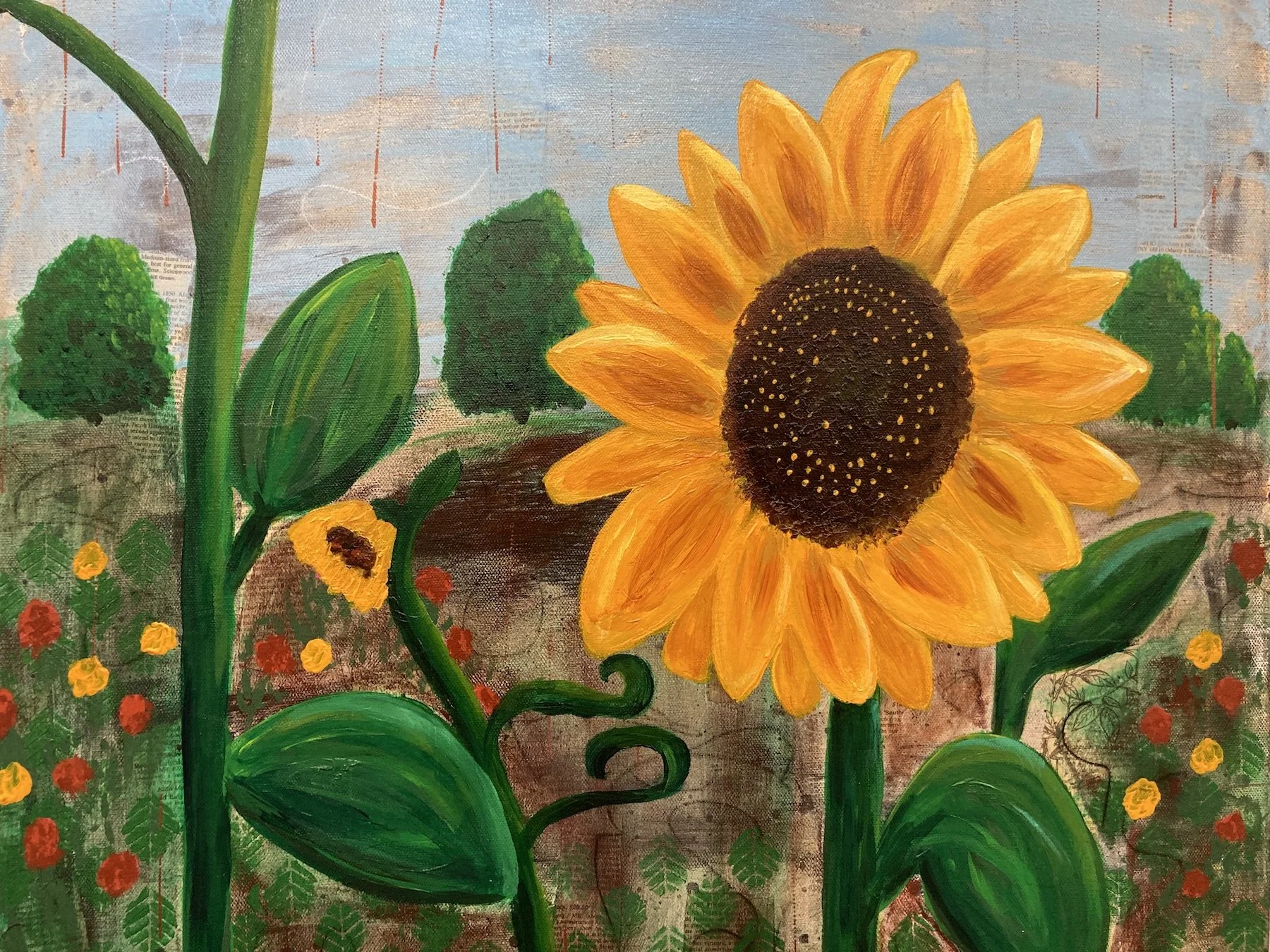 Sunflowers in the Yard.jpeg