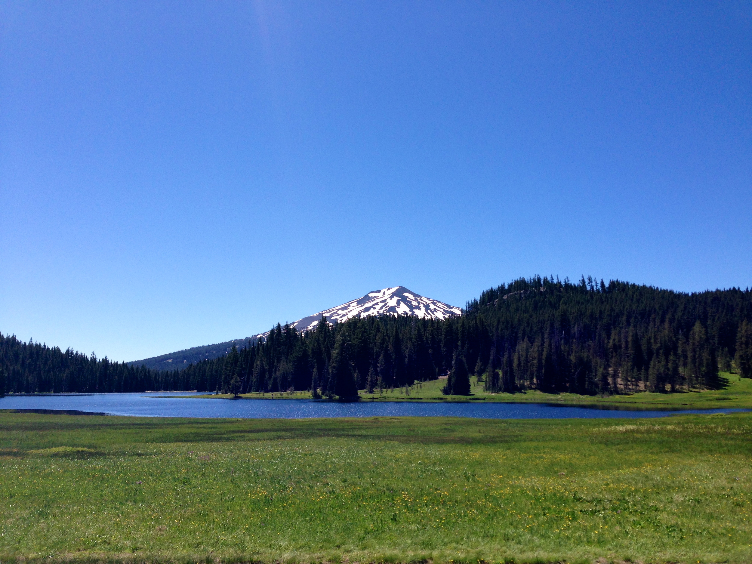 A view of Mt. Bachelor from Todd Lake, Oregon