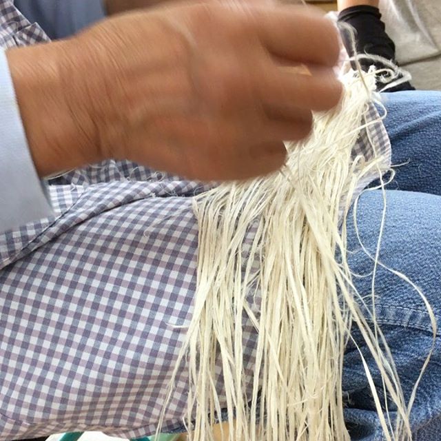 Observing a master weaver and processor of Tafu-an (mulberry cloth weaving) working on preparing fiber to then be hand spun and woven into cloth. This is magic! Anyone interested in textiles must visit this place. It is the last studio in the world t