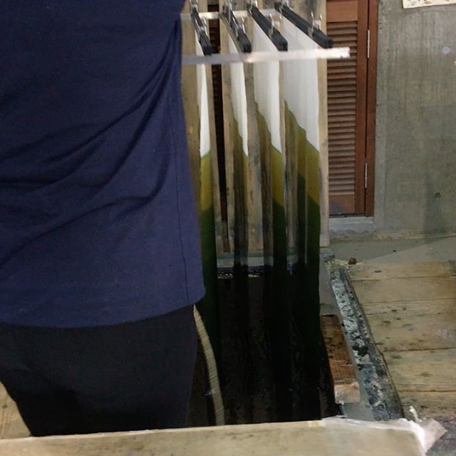 Watching a master indigo dyer working on washi paper from @awagamipaperfactory. You can see the indigo oxidize going from a beautiful pea green to bold blue shades. @pettibonedavid had to pry me from the factory as there were too many amazing project