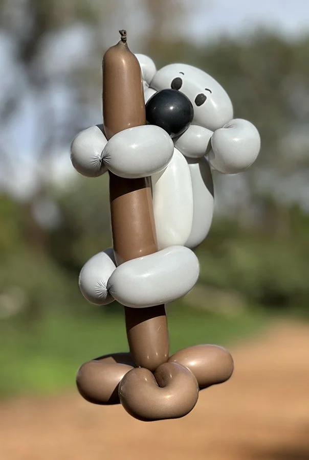 Balloon Twisting Sculpture - Koala - Ruby Sojka - Redondo Beach
