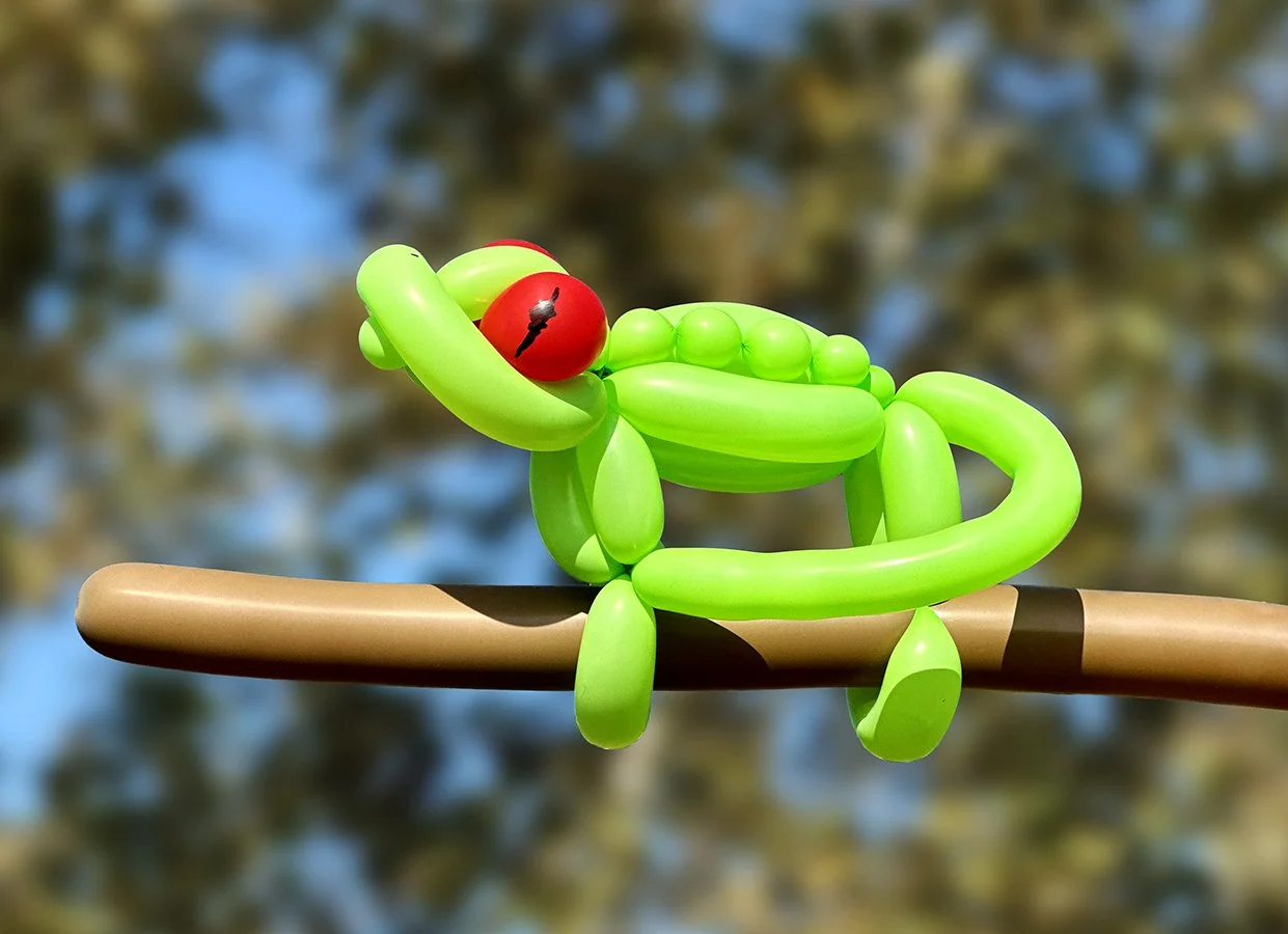 Balloon Sculptures - Chameleon - Ruby Sojka - Redondo Beach