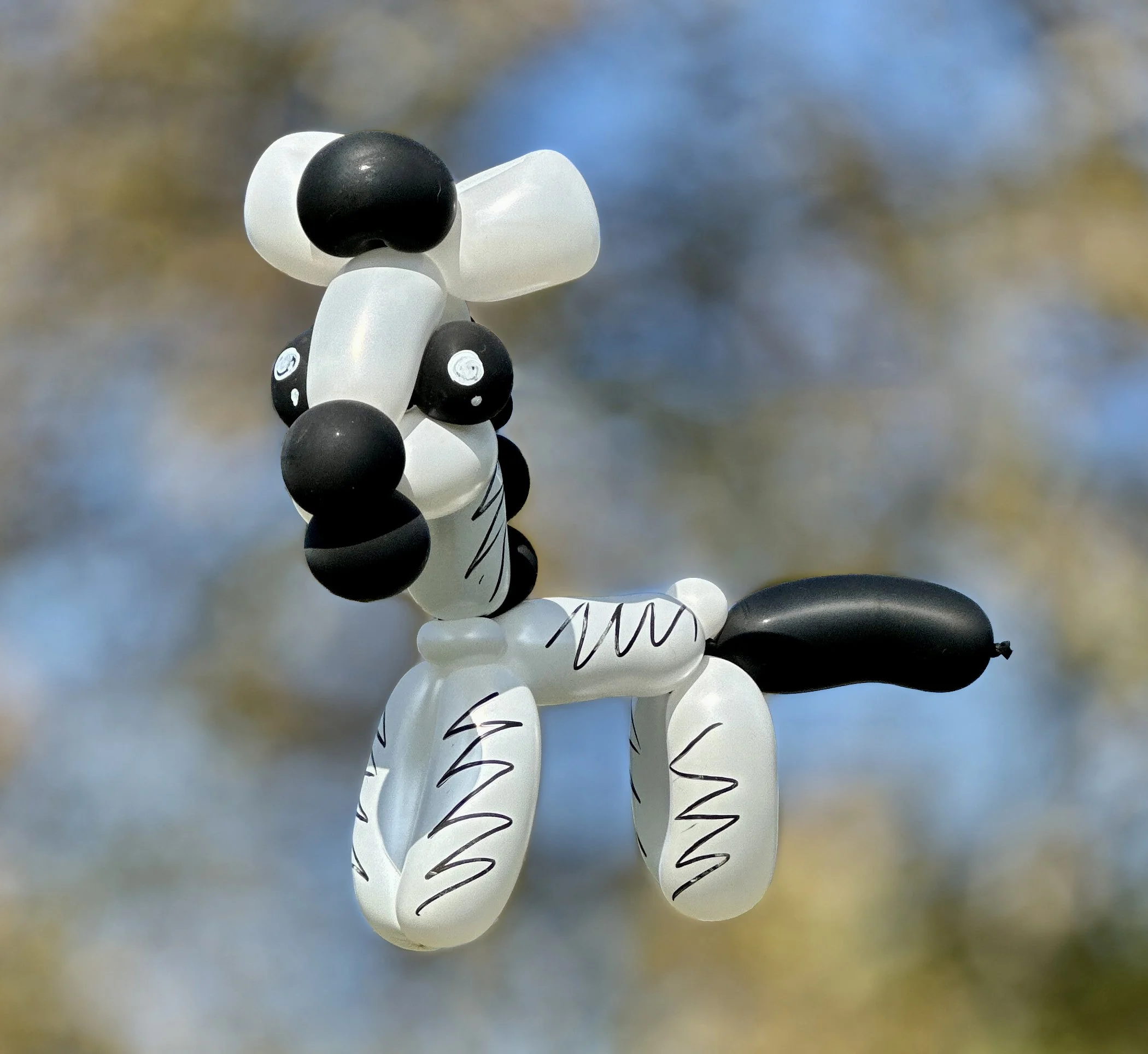 Balloon Sculptures - Zebra - Ruby Sojka - Redondo Beach