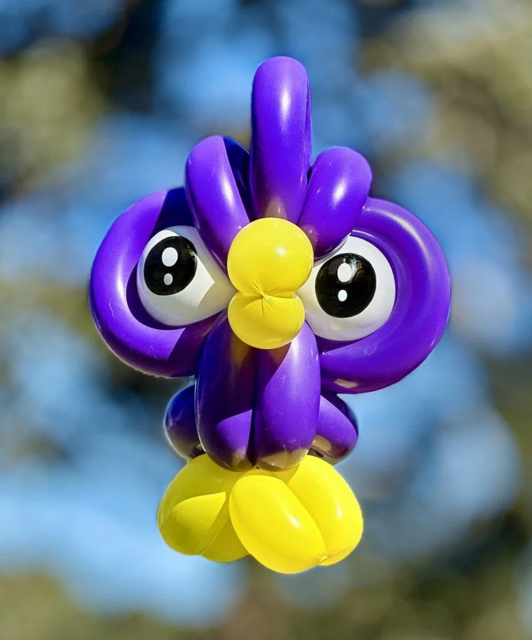 Balloon Sculptures - Owl - Ruby Sojka - Redondo Beach
