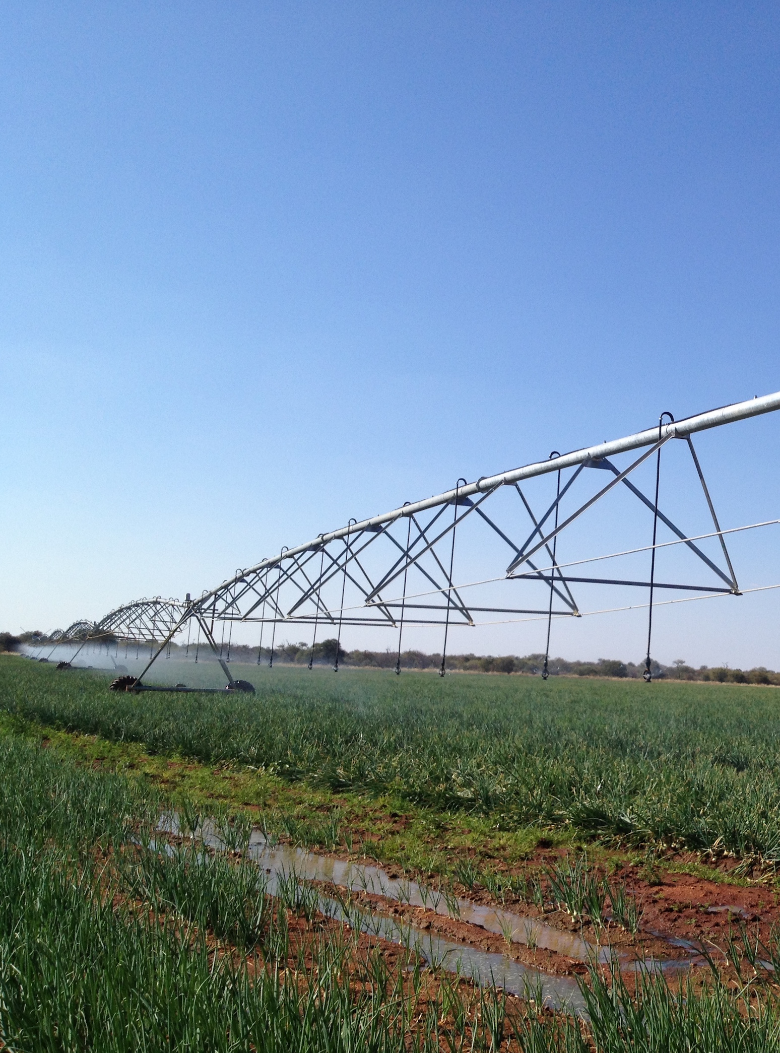 BWJO Test Cover Pic.jpeg