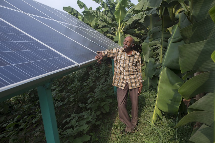 Farmer Raman Parmar uses solar power pumps to irrigate his farm in Anand. Photo Credit: IWMI/Prashanth Vishwanathan