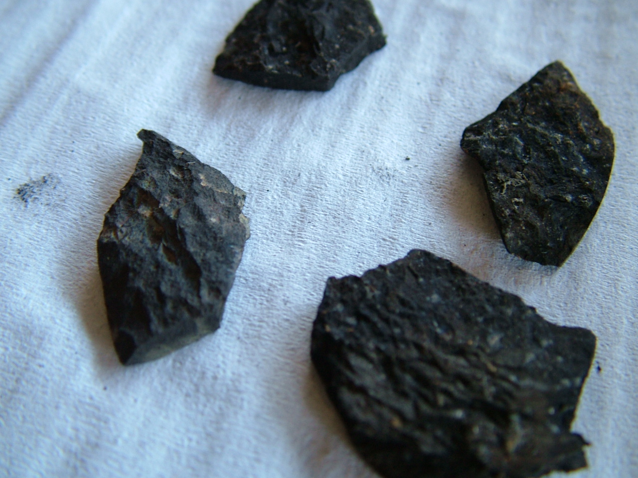Remnants of a shattered thrust bearing