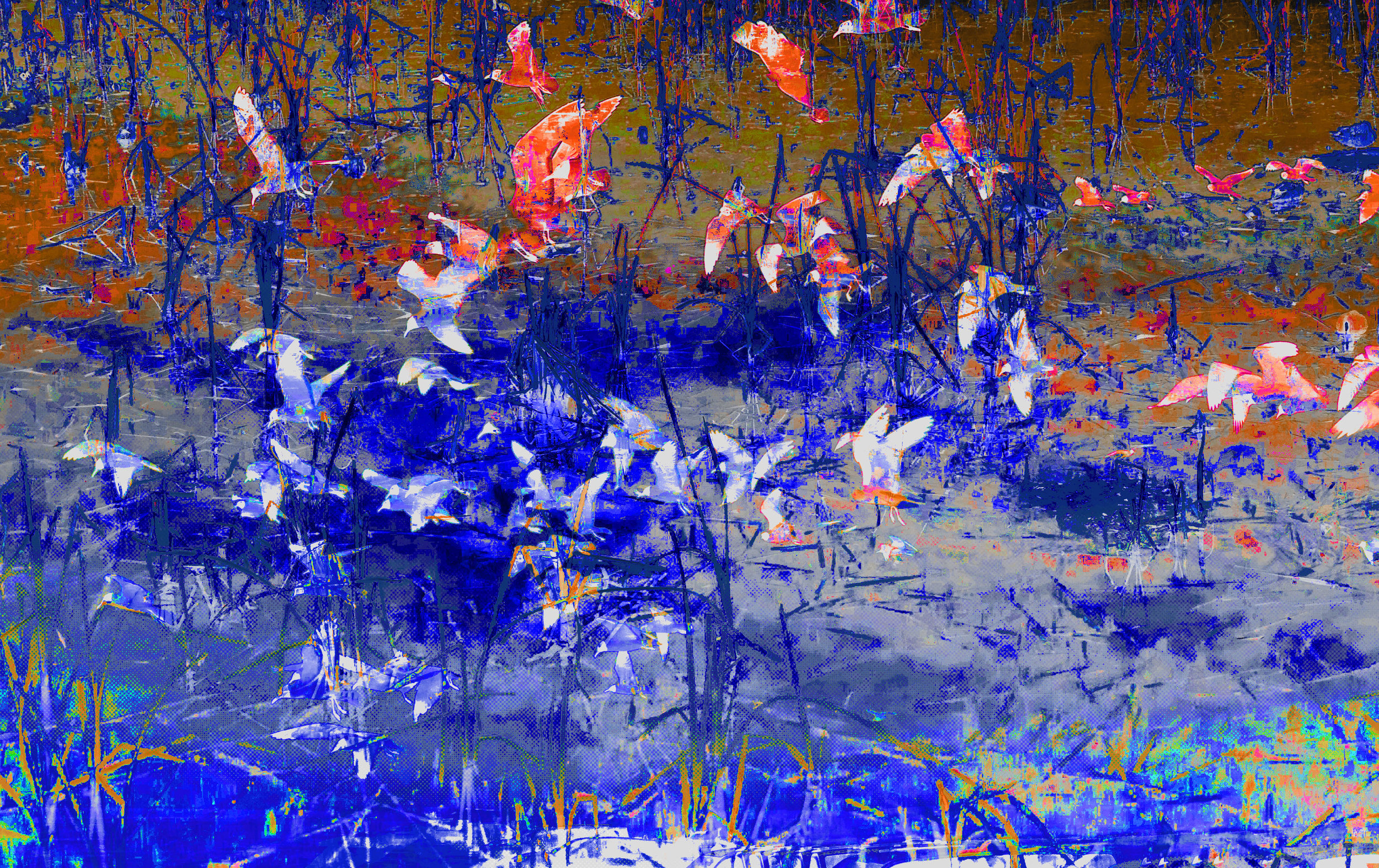 Migration