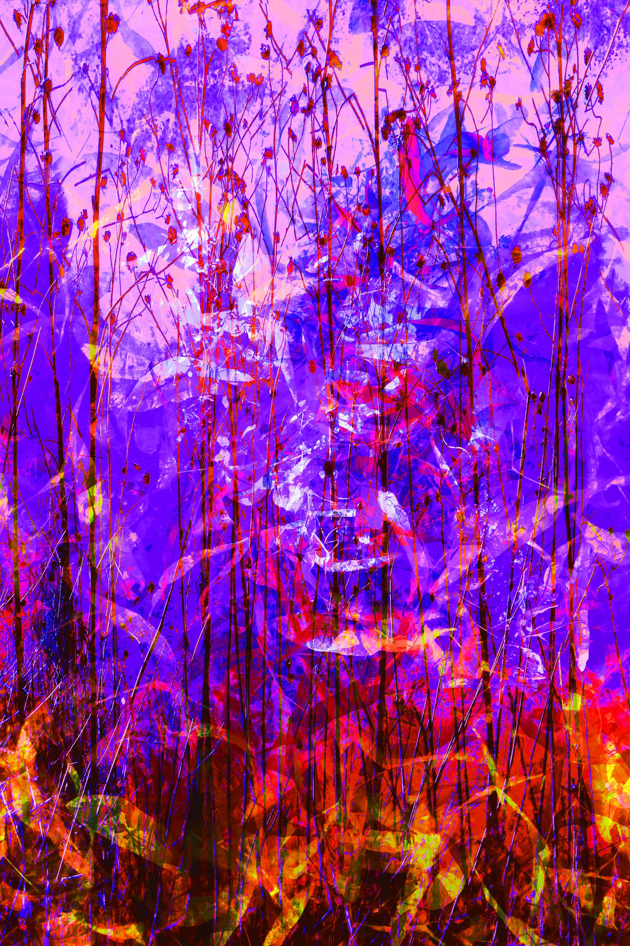 Leaf Fall
