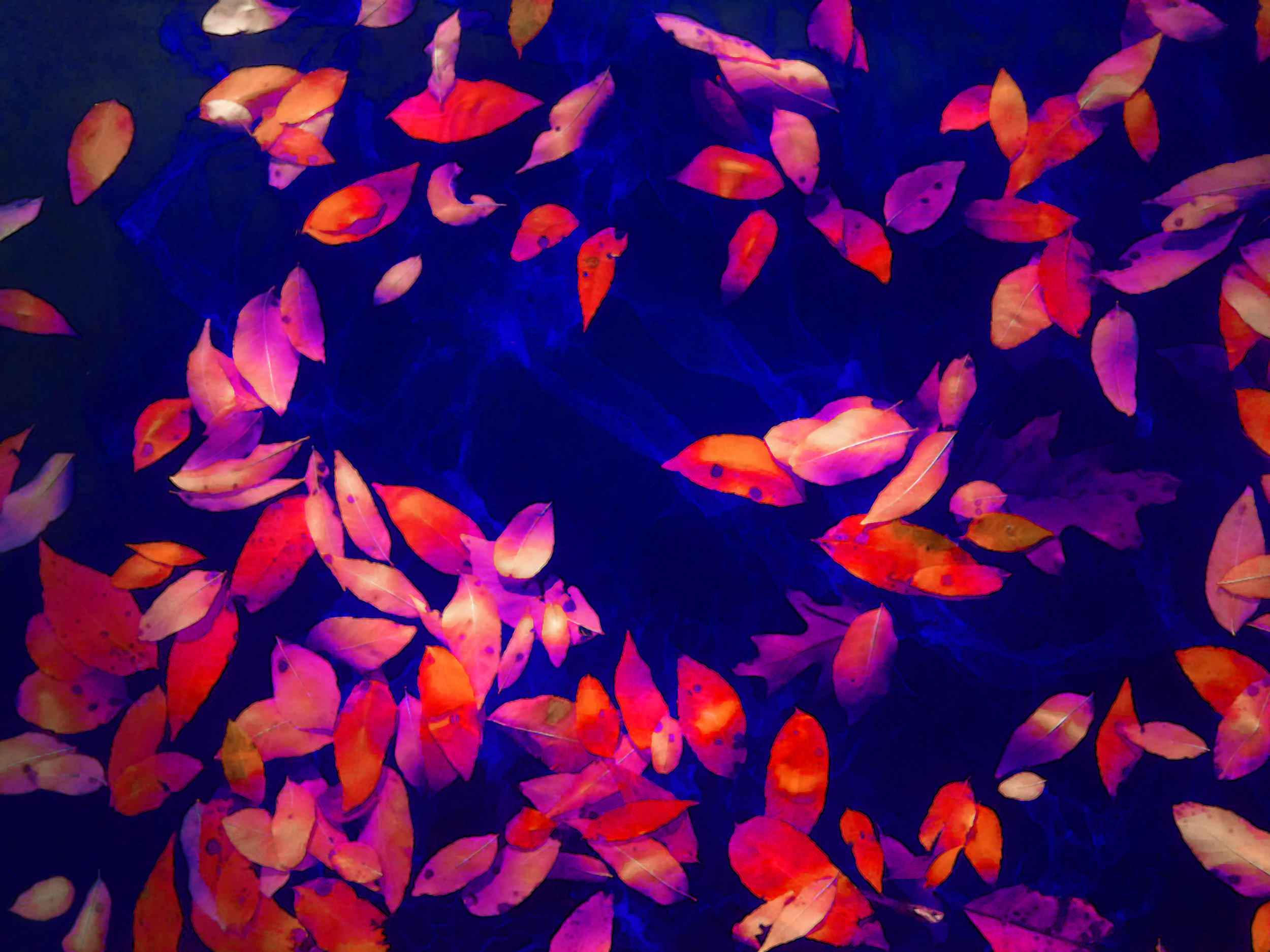 LeafFloat_2017_ChromaLux_60X40_2000.jpg