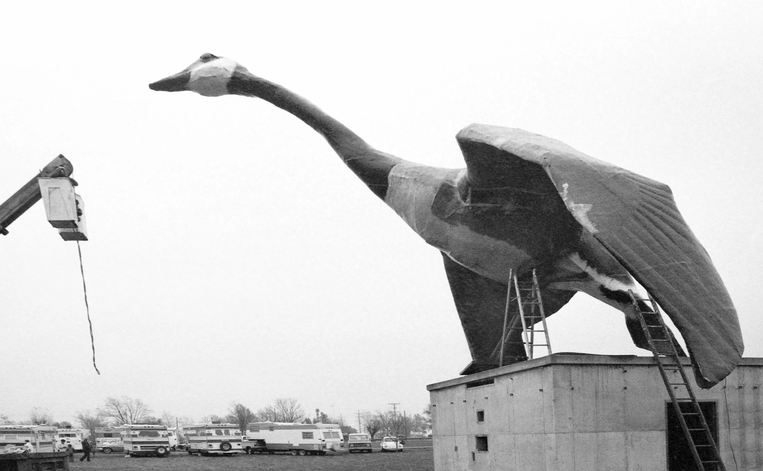 Goose_Festival_Sumner_MO__14.jpg