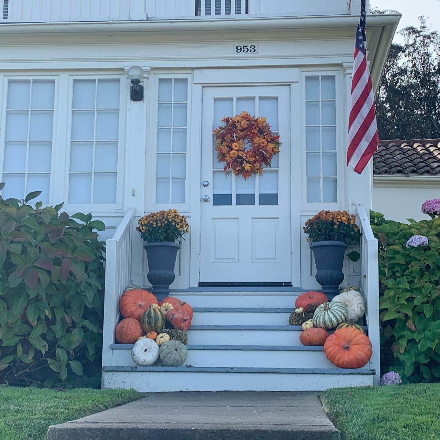 Welcoming entrance on my walk in the Presidio. Hello Thanksgiving week!