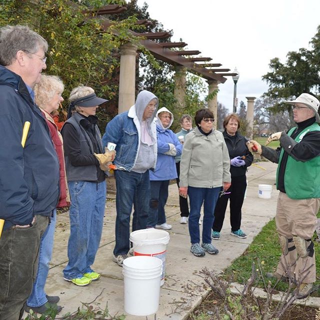 Come join us for our annual rose garden pruning where you will see exciting pruning demonstrations and learn techniques from the expert, Terry Reilly, co-founder of the Friends of San Jose Rose Garden. For more details visit www.stocktonbeautiful.net