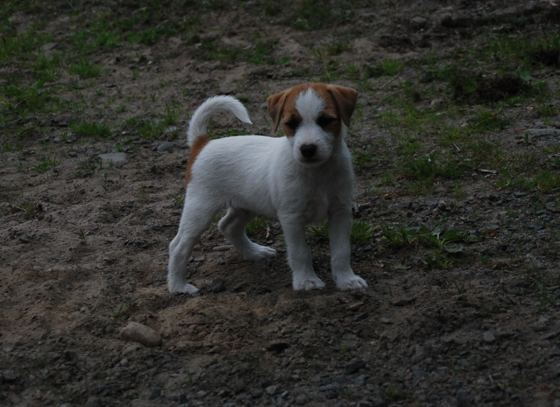 DSC_0419.jpg