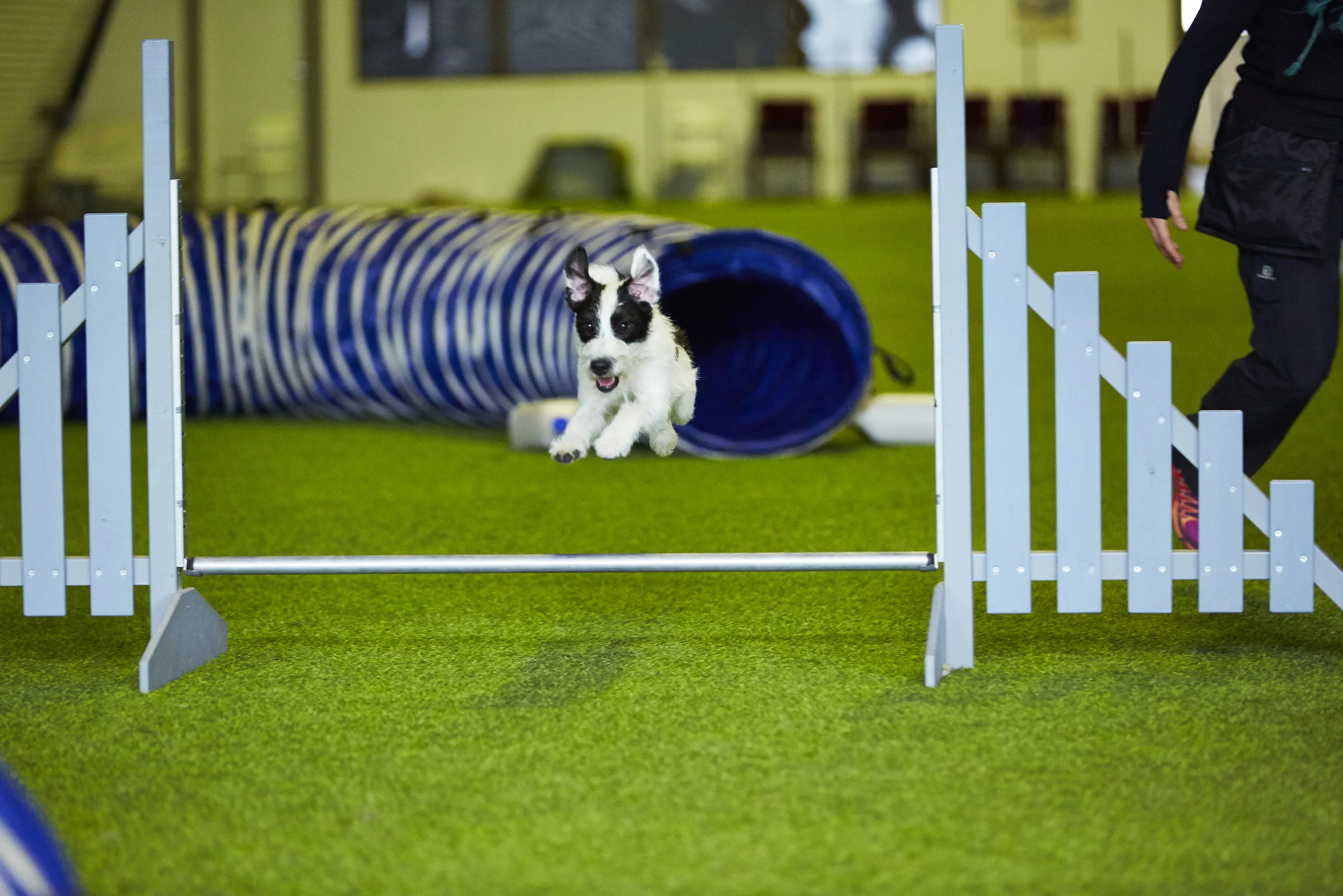 Agility@Piskipaja09.jpg