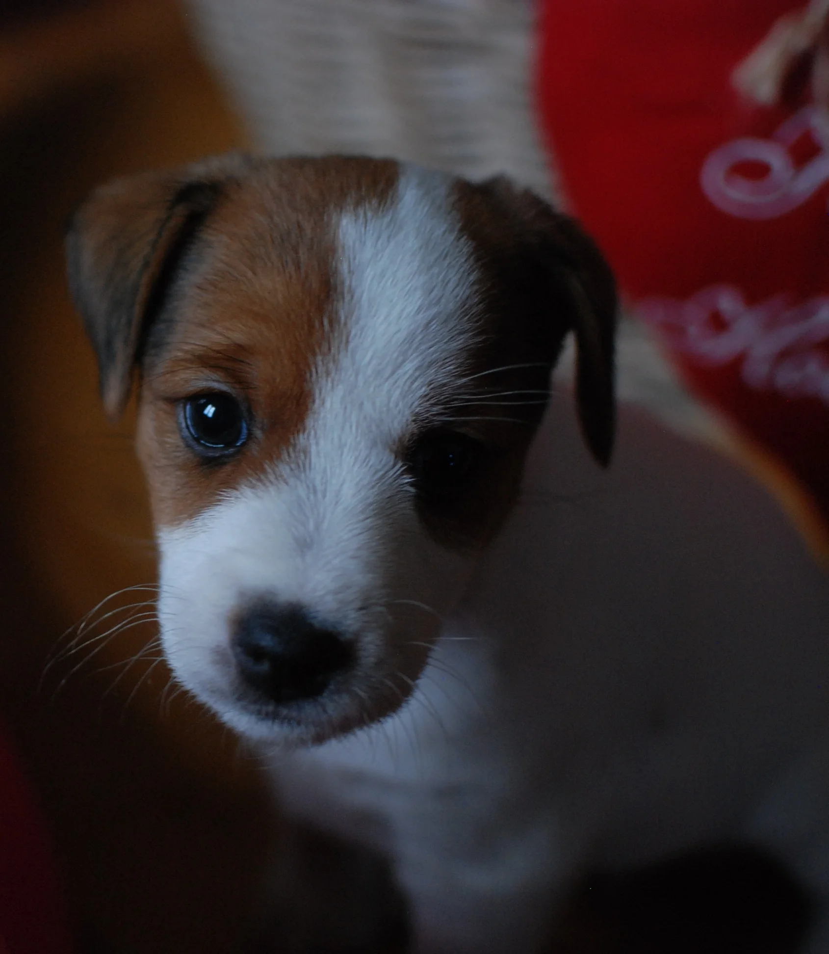 DSC_05221.jpg