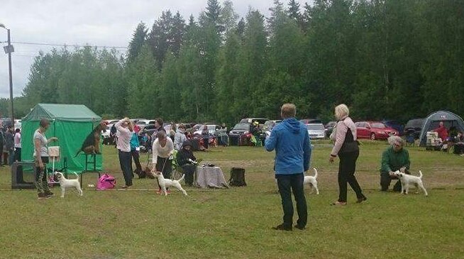 Pommi parasuros kehässä